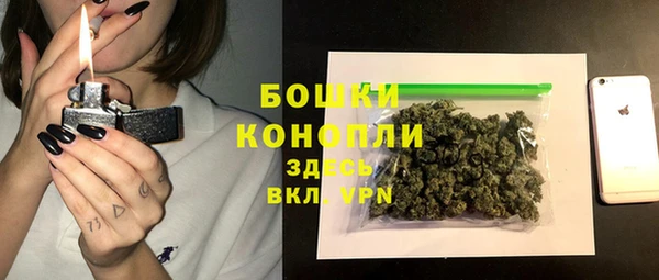 ГАЛЛЮЦИНОГЕННЫЕ ГРИБЫ Новокубанск