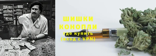 дживик Нягань