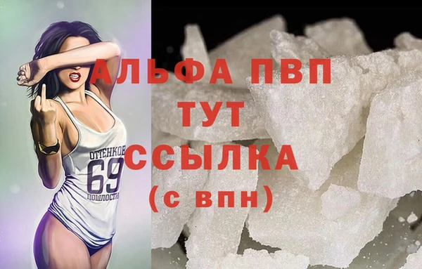 винт Новозыбков